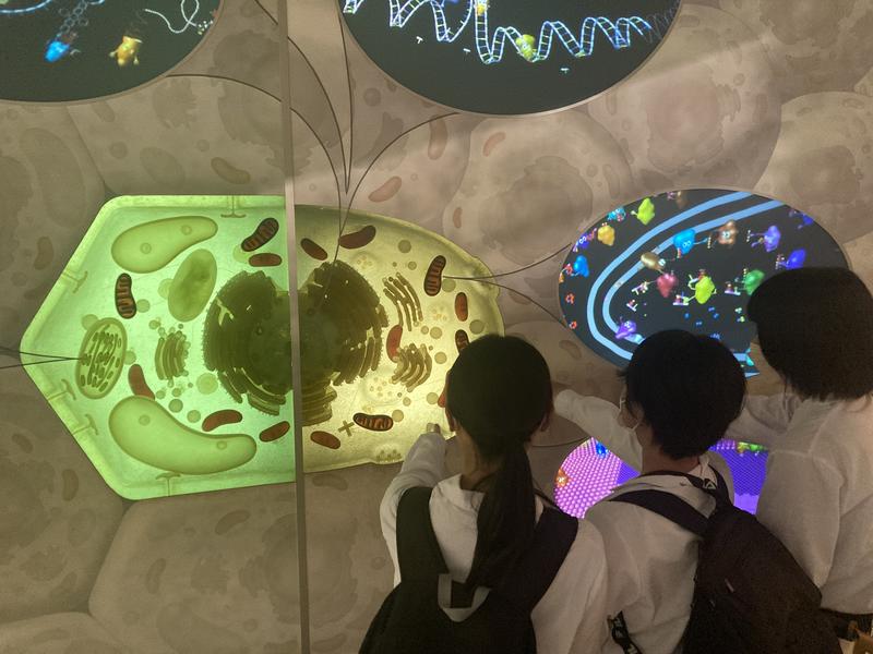 5AFAD9E5-16BB-4D86-92F2-101C725080AC