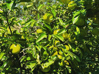 8F35FD0E-B0C0-48A7-9E57-BB23AF668804