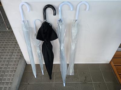 IMG_20221114_085328150