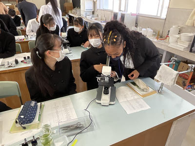 英語による理科授業2006