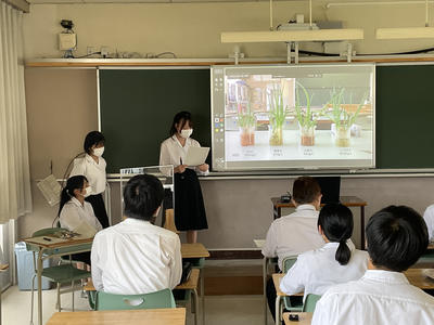 課題研究発表会003